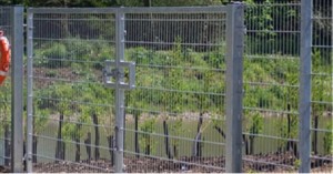 Fence